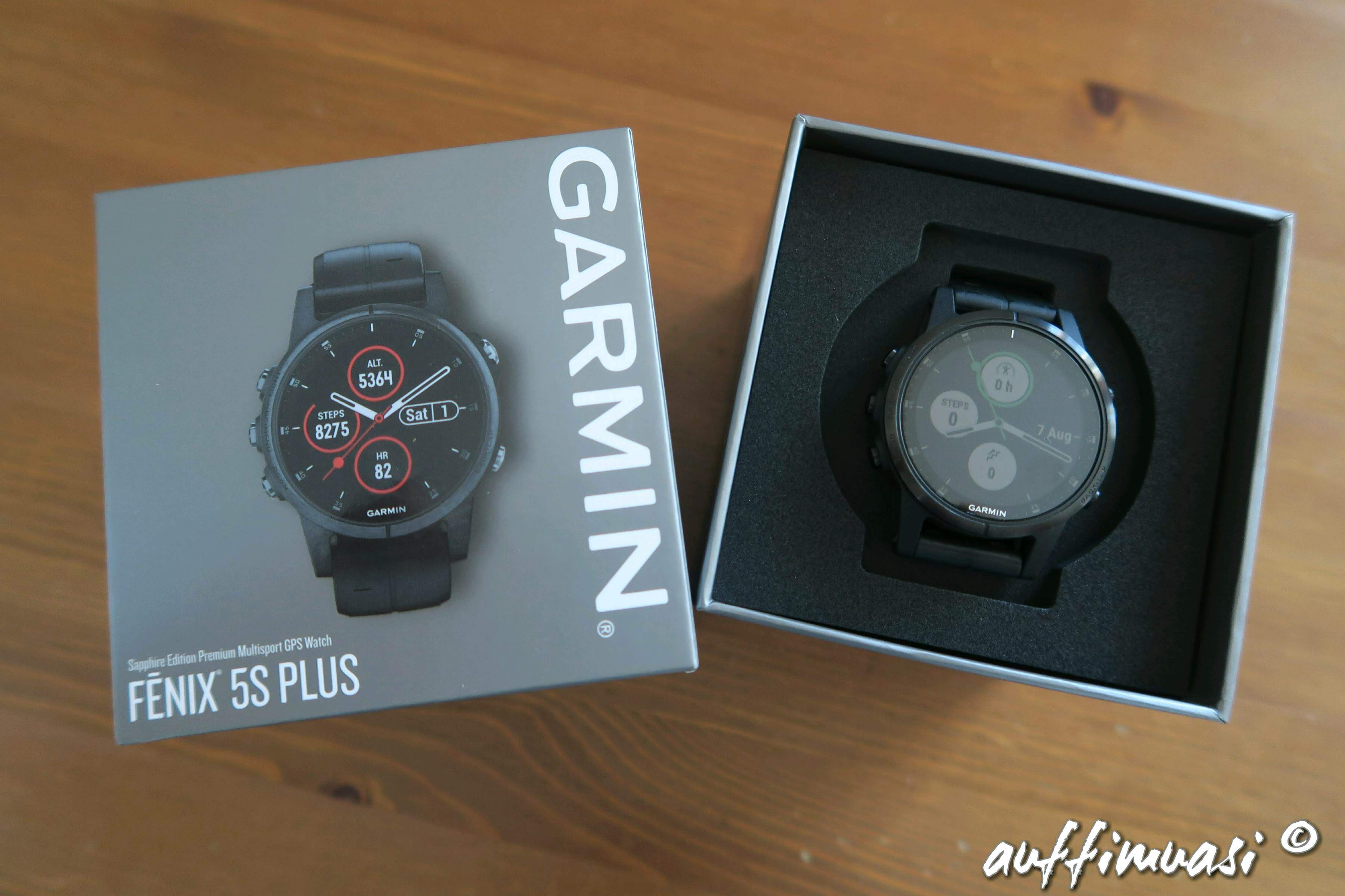 Das Navi furs Handgelenk im Mini Format Garmin Fenix 5 S Plus