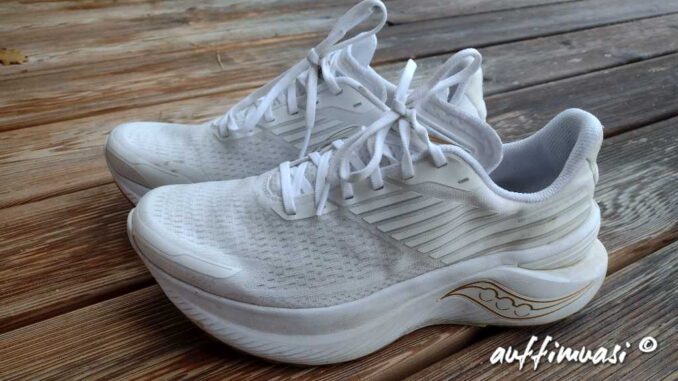 wp-1668754758987 saucony, endorphin, shift, running, review, test, laufen